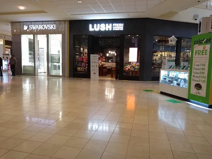 Lush Cosmetics Lehigh Valley 2