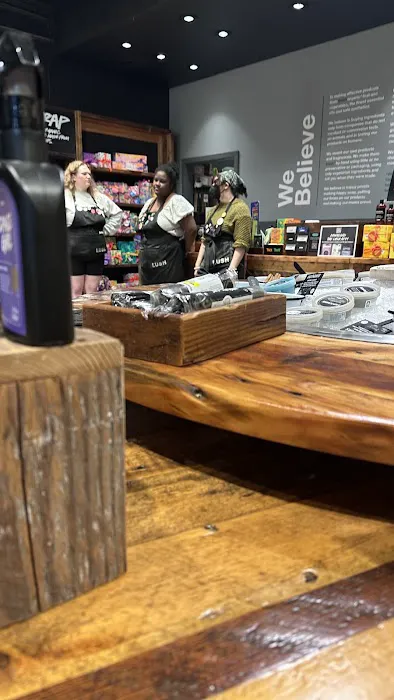 Lush Cosmetics Lehigh Valley 5