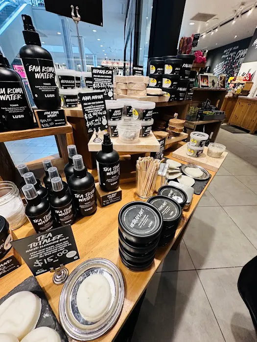 Lush Cosmetics Lehigh Valley 9