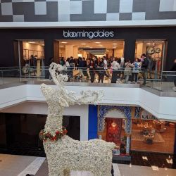Bloomingdale's ico