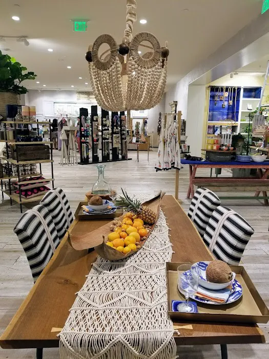Anthropologie 2