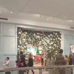 Anthropologie ico