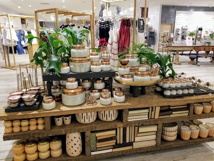 Anthropologie 4