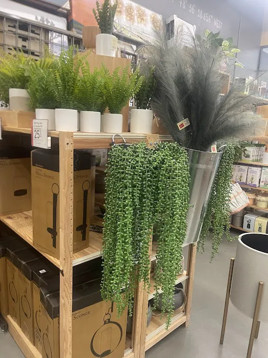 World Market 5