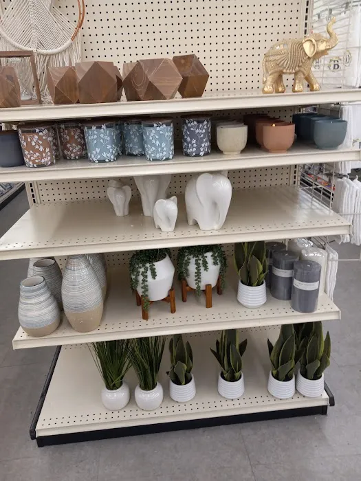 Big Lots 3