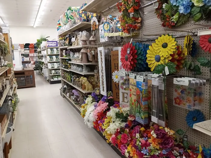 Big Lots 0