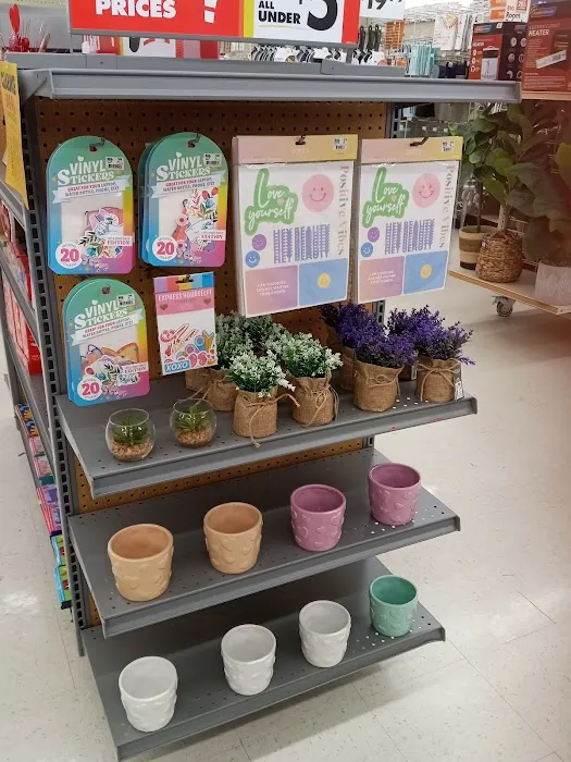 Big Lots 3