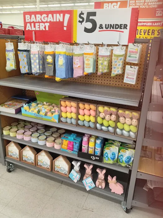 Big Lots 7