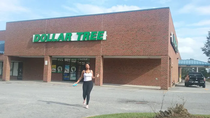 Dollar Tree 1