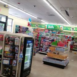 Dollar Tree ico
