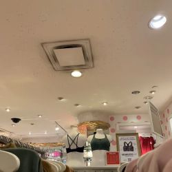 Victoria's Secret & PINK by Victoria's Secret ico