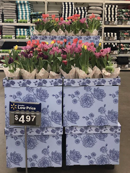 Walmart Supercenter New Bern NC 0