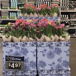 Walmart Supercenter New Bern NC ico