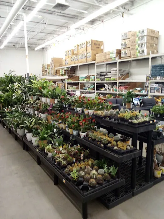 Walmart Supercenter New Bern NC 6
