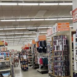 Big Lots ico