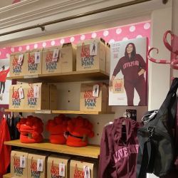 Victoria's Secret & PINK by Victoria's Secret ico