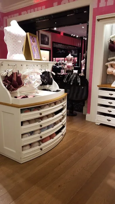 Victoria's Secret & PINK by Victoria's Secret 4