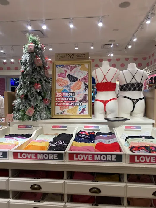 Victoria's Secret & PINK by Victoria's Secret 7
