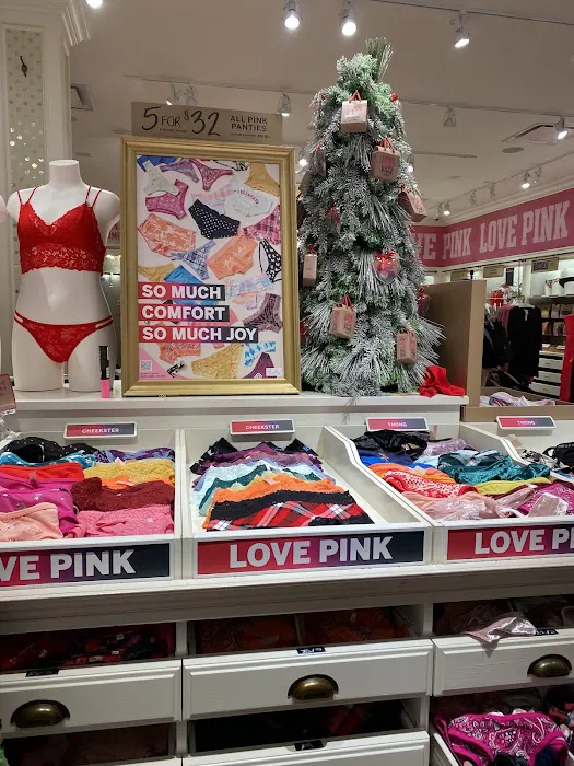 Victoria's Secret & PINK by Victoria's Secret 6