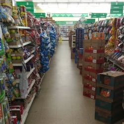 Dollar Tree ico