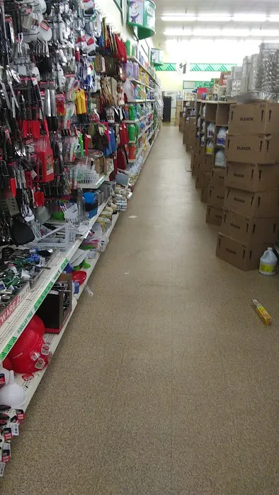 Dollar Tree 3