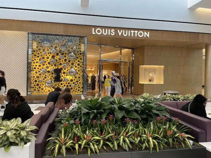 Louis Vuitton King of Prussia 7