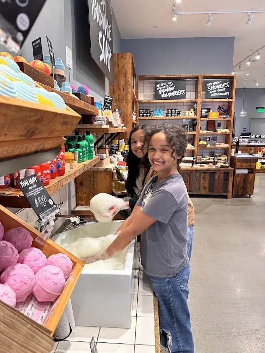 Lush Cosmetics Willow Grove Park Mall 3