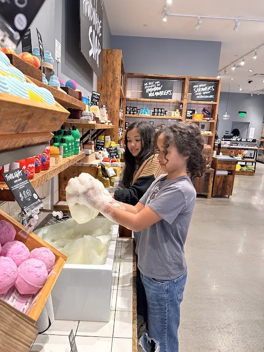 Lush Cosmetics Willow Grove Park Mall 5
