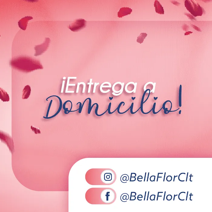 BELLA FLOR , Floristeria 6