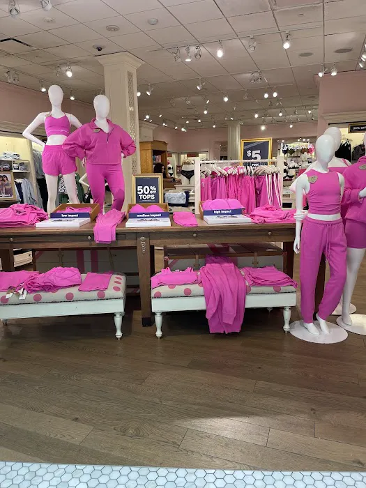Victoria's Secret & PINK by Victoria's Secret 7