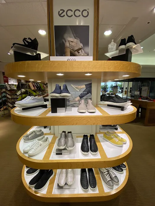 Dillard's 8