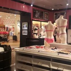 Victoria's Secret & PINK by Victoria's Secret ico