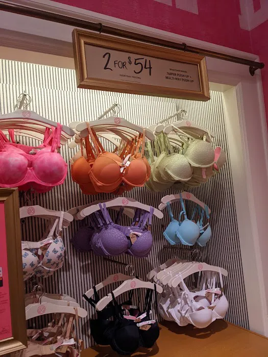 Victoria's Secret & PINK by Victoria's Secret 2