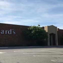 Dillard's ico