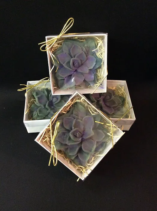 The Soap Lady Store 6