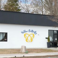 The Yellow Butterfly Boutique ico