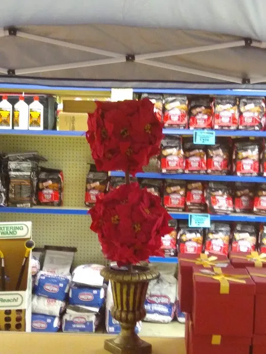 Roses Discount Store 6