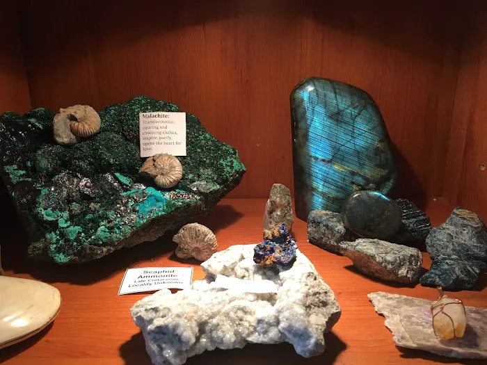 Harry's World (metaphysical gift store) 4