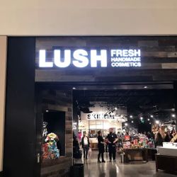 Lush Cosmetics Cherry Hill ico