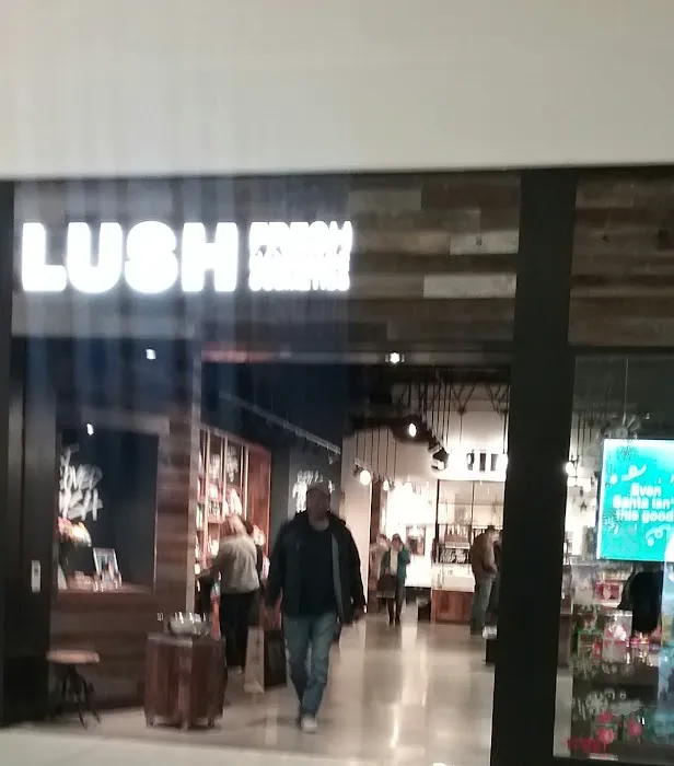 Lush Cosmetics Cherry Hill 9
