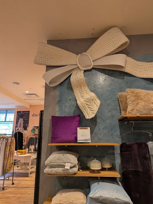 Anthropologie 1