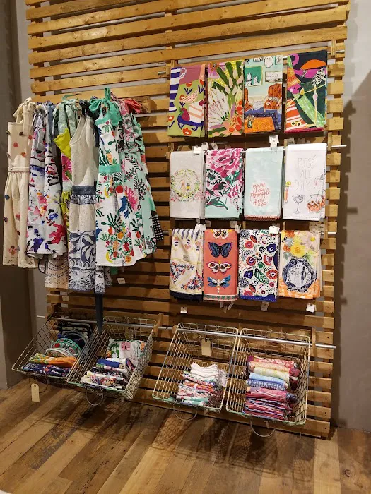 Anthropologie 2