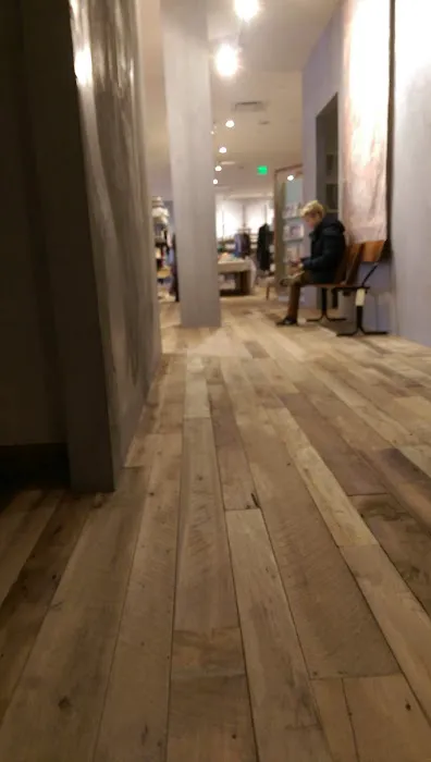 Anthropologie 5
