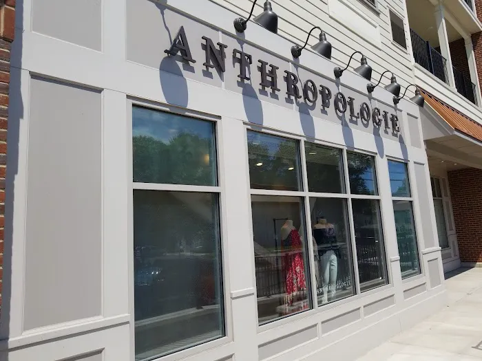 Anthropologie 8