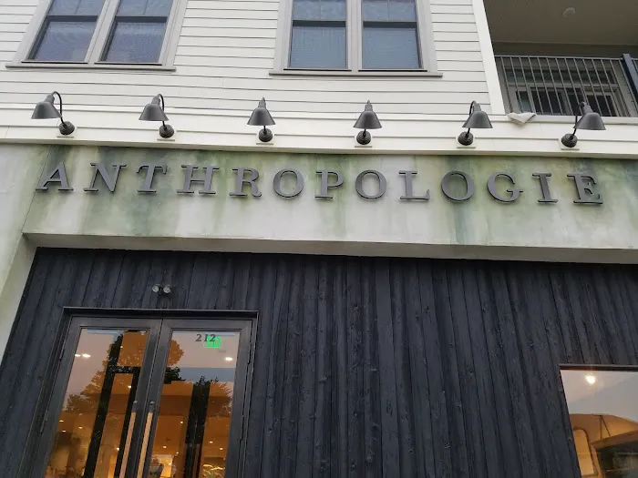Anthropologie 9