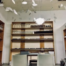 CB I Hate Perfume Olfactory - Not Open to the Public ico