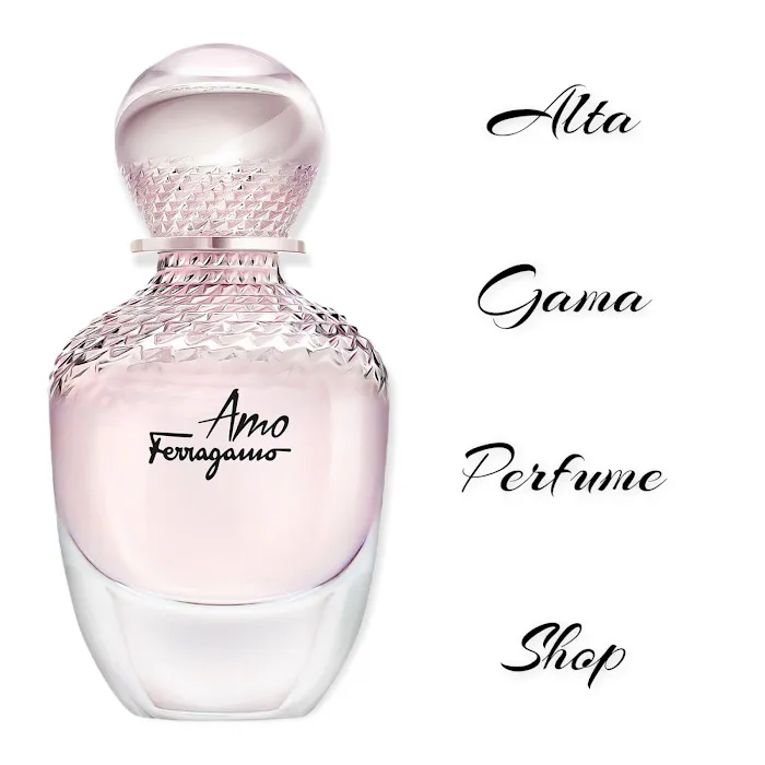 Alta Gama Perfume Shop 6