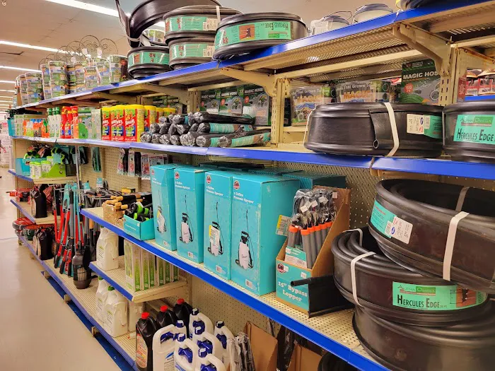 Roses Discount Store 4