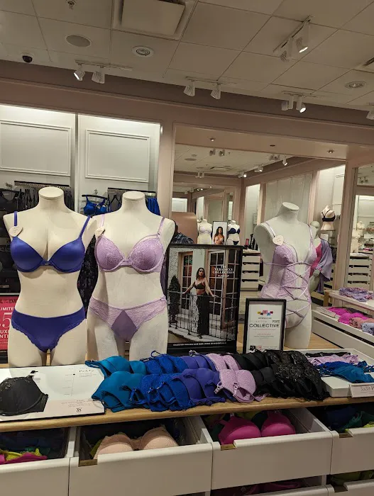 Victoria's Secret & PINK by Victoria's Secret 3