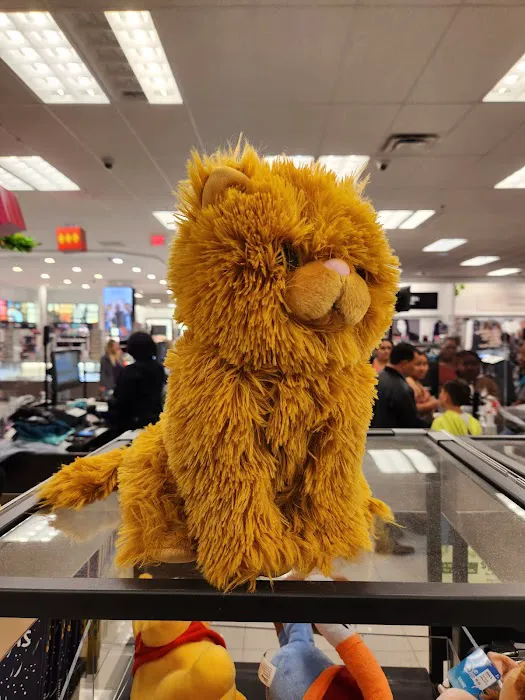 Kohl's 4